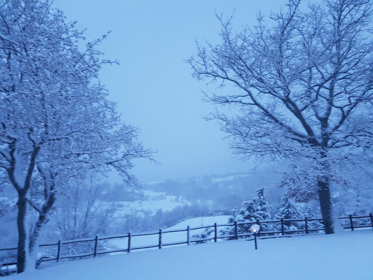 Casa Vacanze Fattoria il Cerro Villa Pianelleto Esterno foto