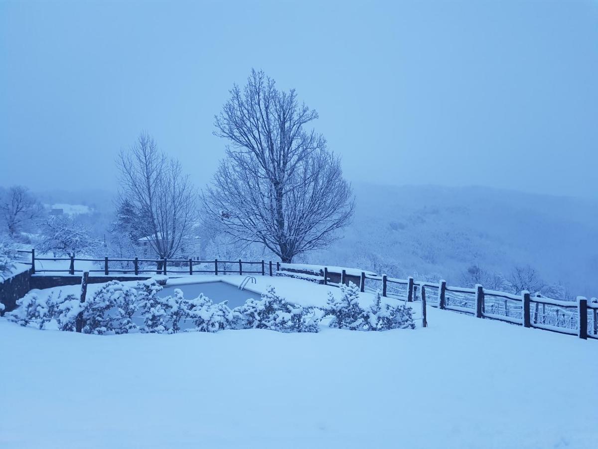 Casa Vacanze Fattoria il Cerro Villa Pianelleto Esterno foto