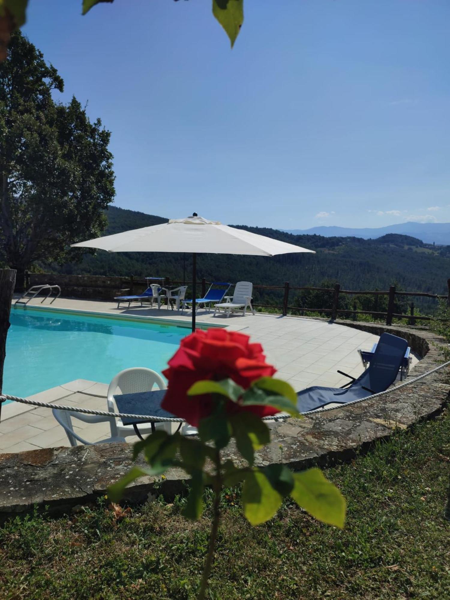 Casa Vacanze Fattoria il Cerro Villa Pianelleto Esterno foto