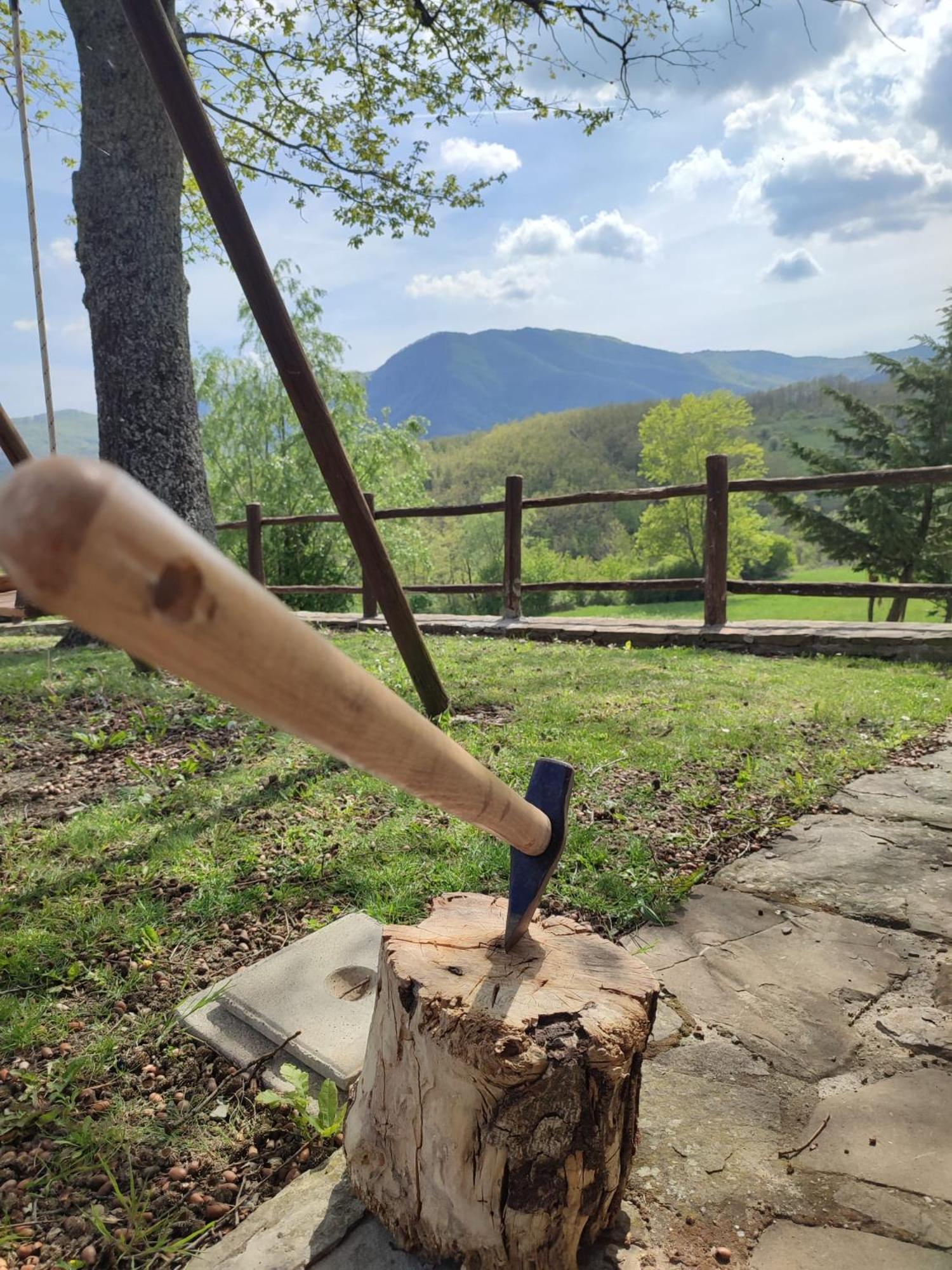 Casa Vacanze Fattoria il Cerro Villa Pianelleto Esterno foto